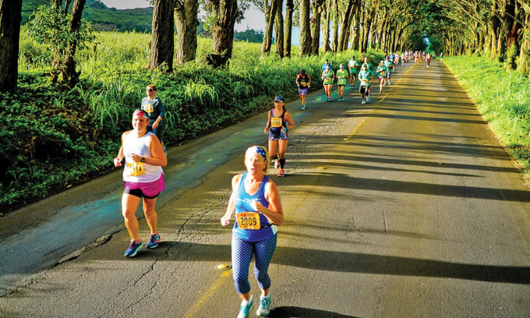 Kauai Marathon Half Marathon 2019 Race Report