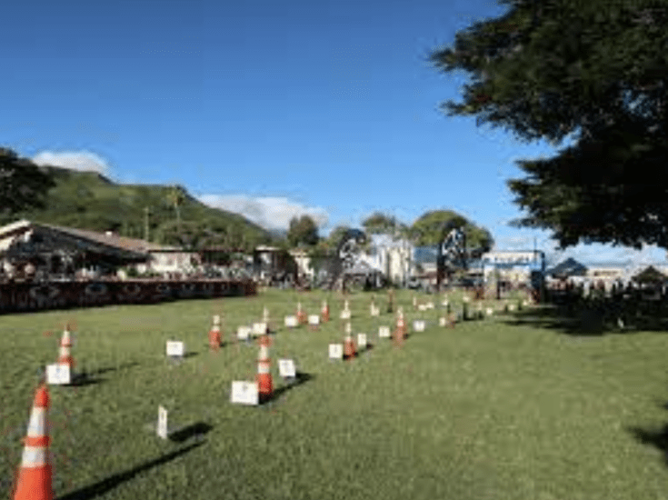 Race To The Base H3 Olympic Triathlon Race Report 2019